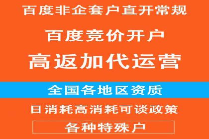 某电商平台的SEM推广实践与效果展示